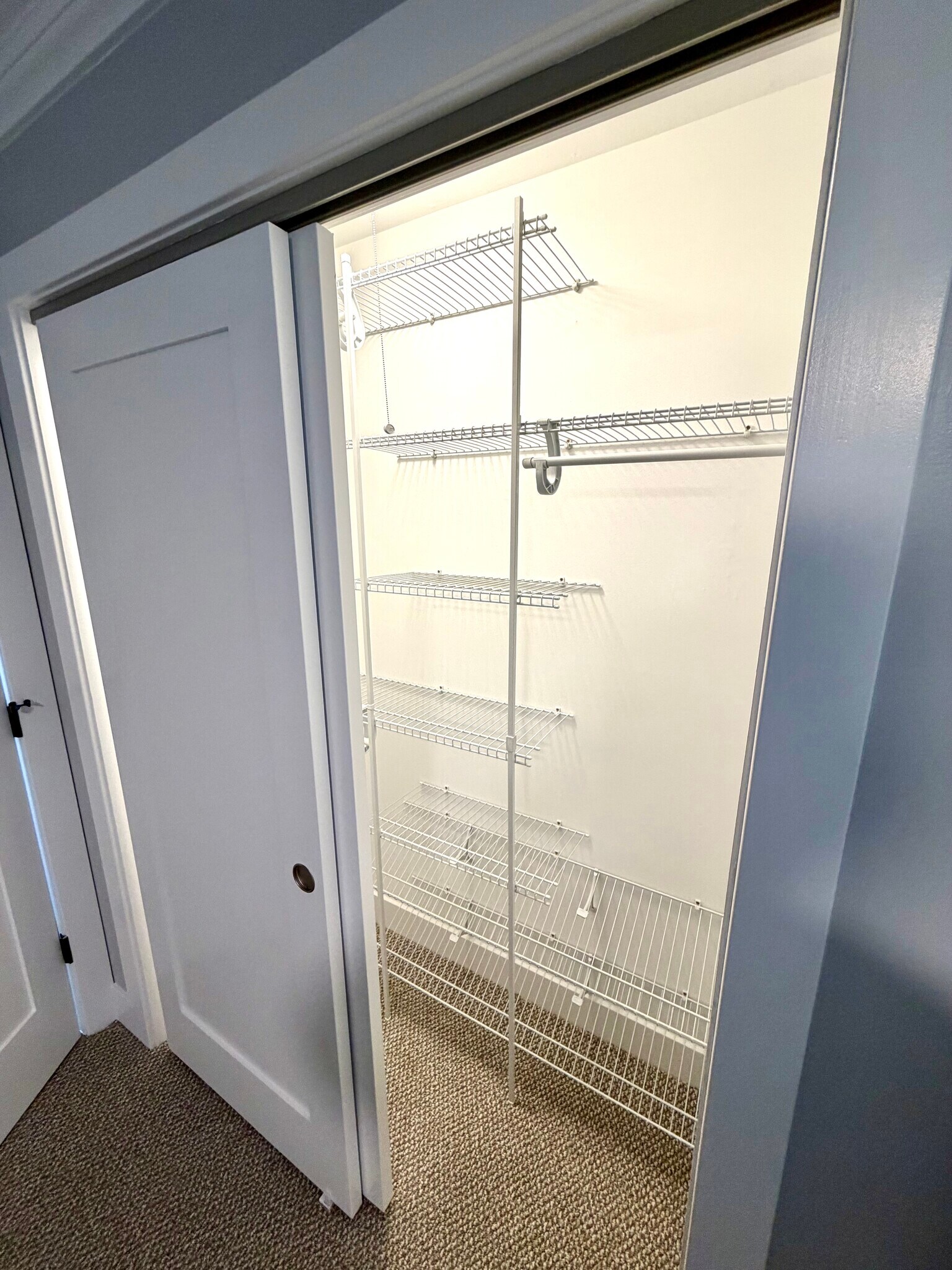 New closet doors and closet organizers throughout the apartment. - 771 56th St
