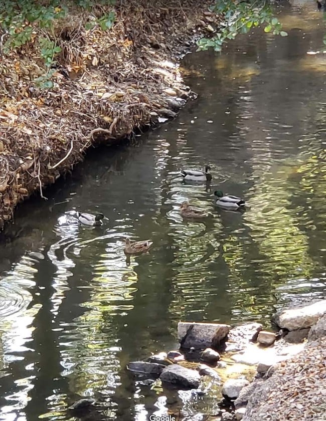 Building Photo - 23653 Park Capri