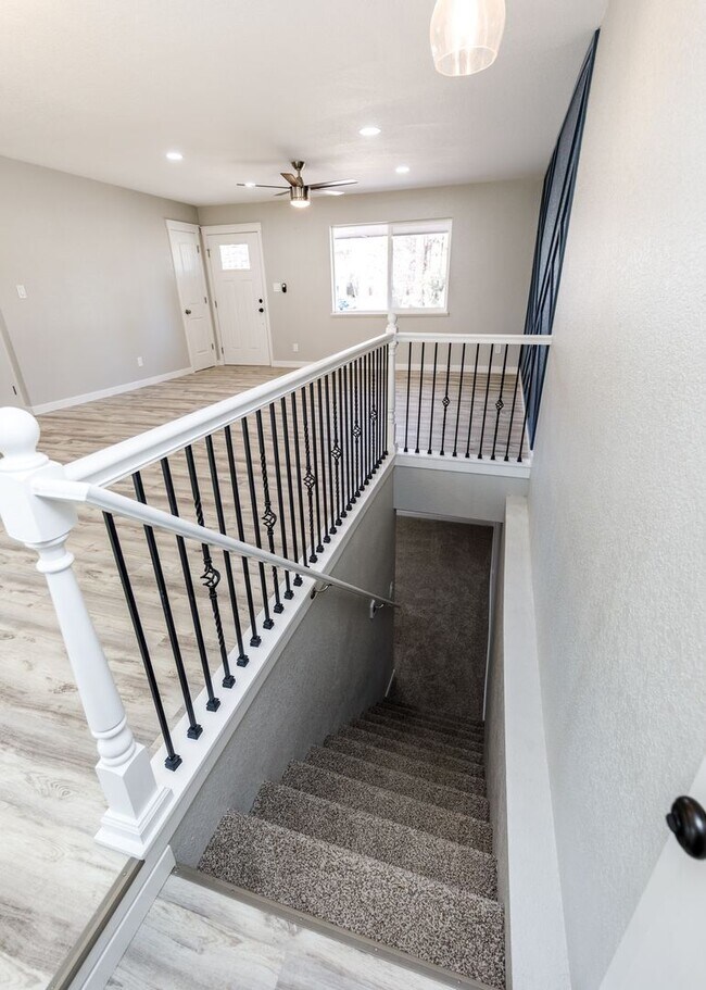 Building Photo - Newly Remodeled 5 Bed Home with Huge Yard