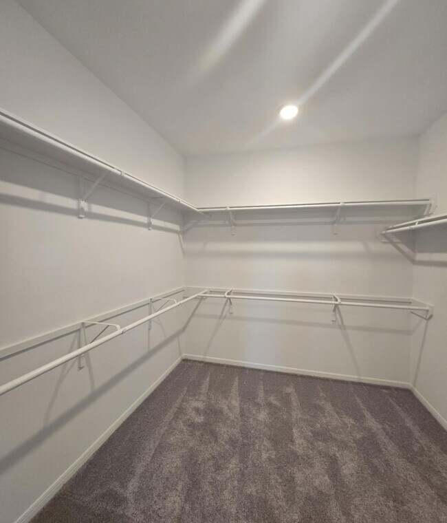 Building Photo - 27502 Clear Breeze Dr