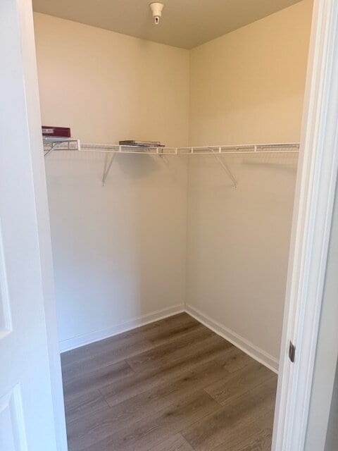 Building Photo - Beautiful Spacious Condo in Midlothian ready for move in!