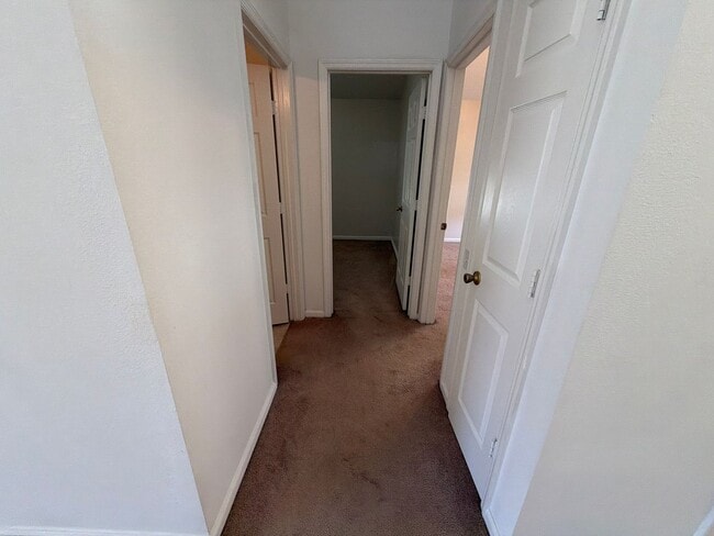 Building Photo - 1709 Pine Bay Dr