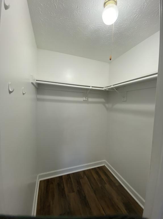 Building Photo - 2001 Rockford Ln