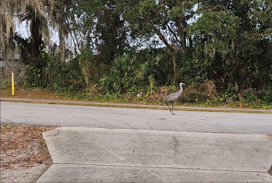 Building Photo - 2033 Quintilis Ct