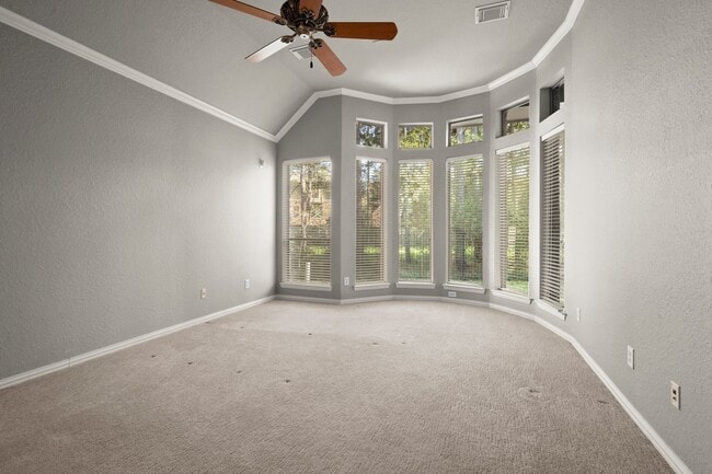 Building Photo - 14 Mystic Pines Ct