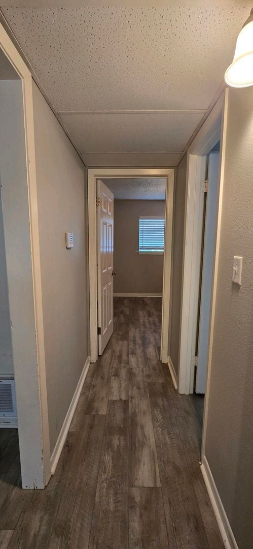 Building Photo - Available Now! Updated, Downstairs 2 Bedro...