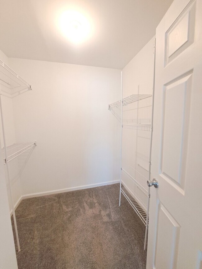 Building Photo - 1060 Newport Harbor