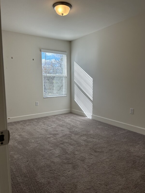 Building Photo - 3341 Brookberry Ln