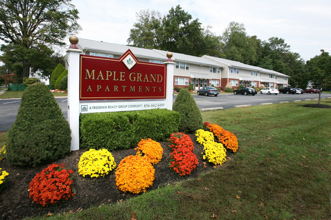 Building Photo - Maple Grand