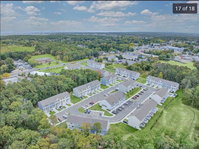 Building Photo - 1001 Cyprus Ct