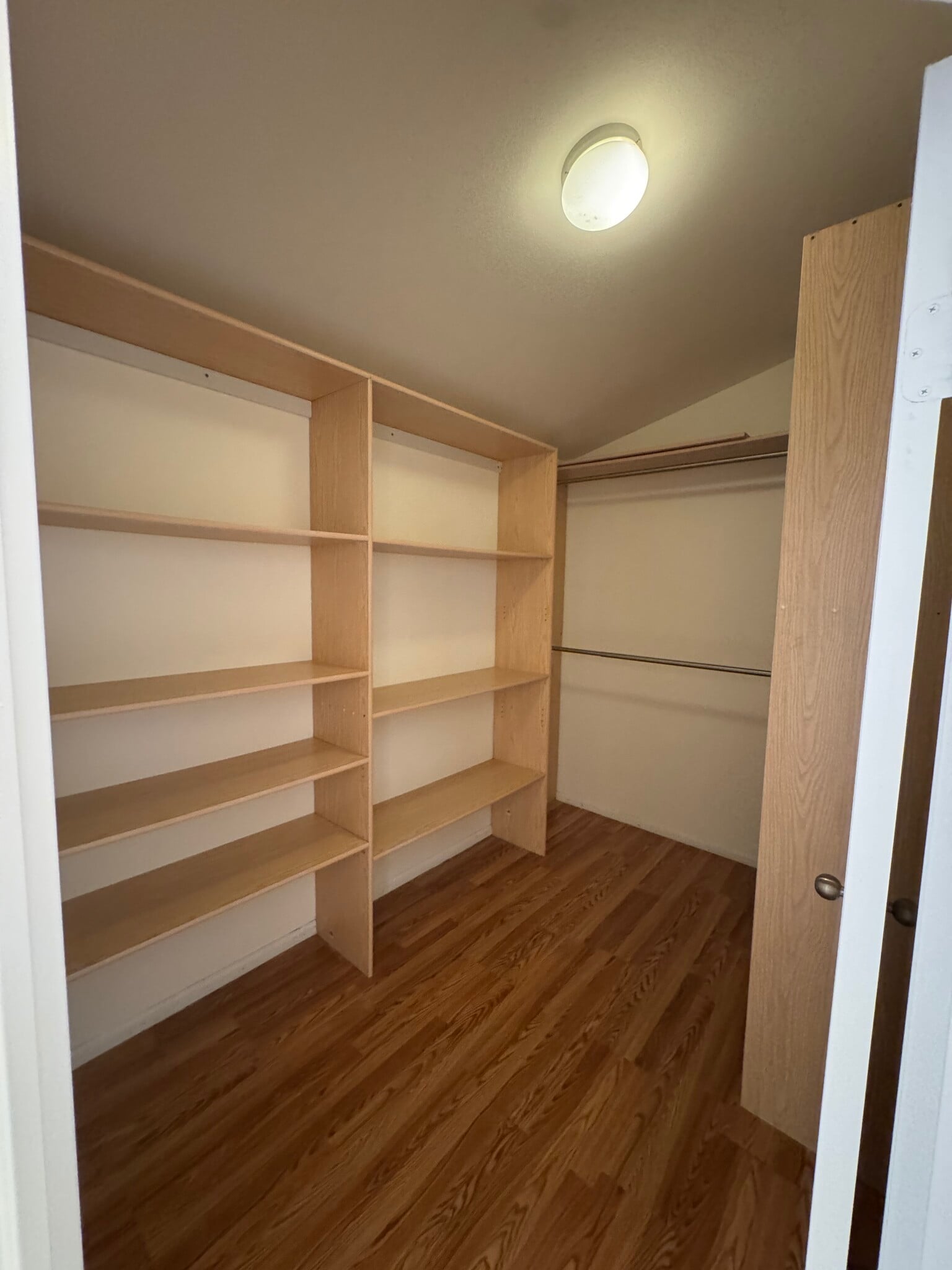 Walk in closet - 31439 Arena Dr