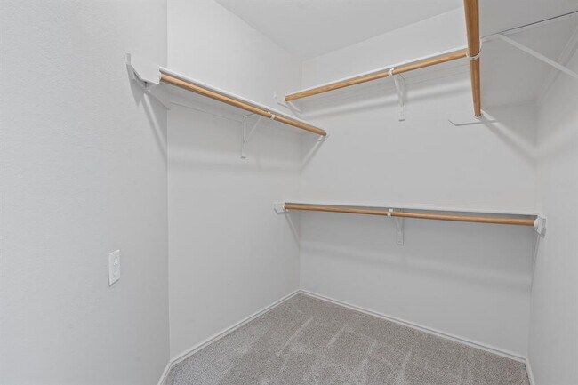 Building Photo - 909 Saba Cove