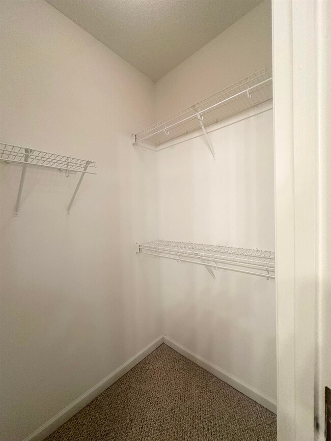 Building Photo - 8516 Shady Elm Dr