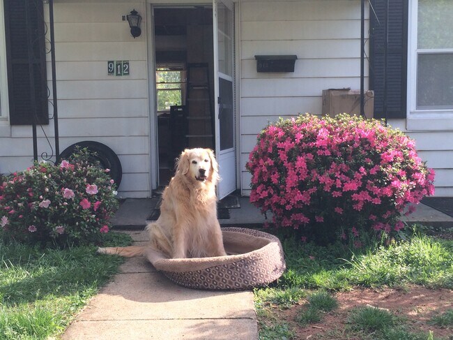 Building Photo - 912 Altavista Avenue