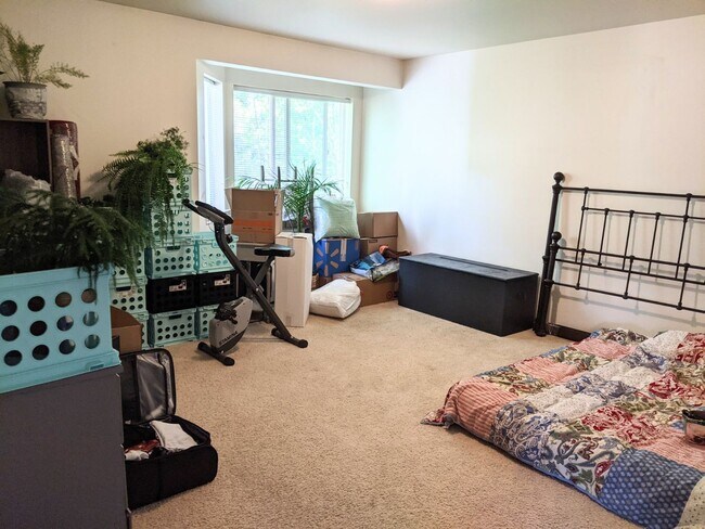 Building Photo - Beautiful Two Bedroom Condo