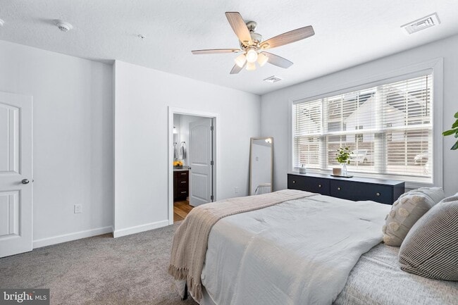 Building Photo - 4301 Rowen Ct