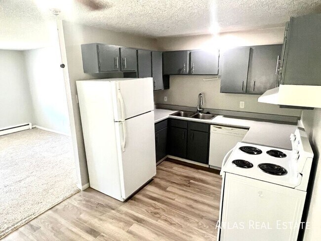 Primary Photo - 415 St Vrain Pl