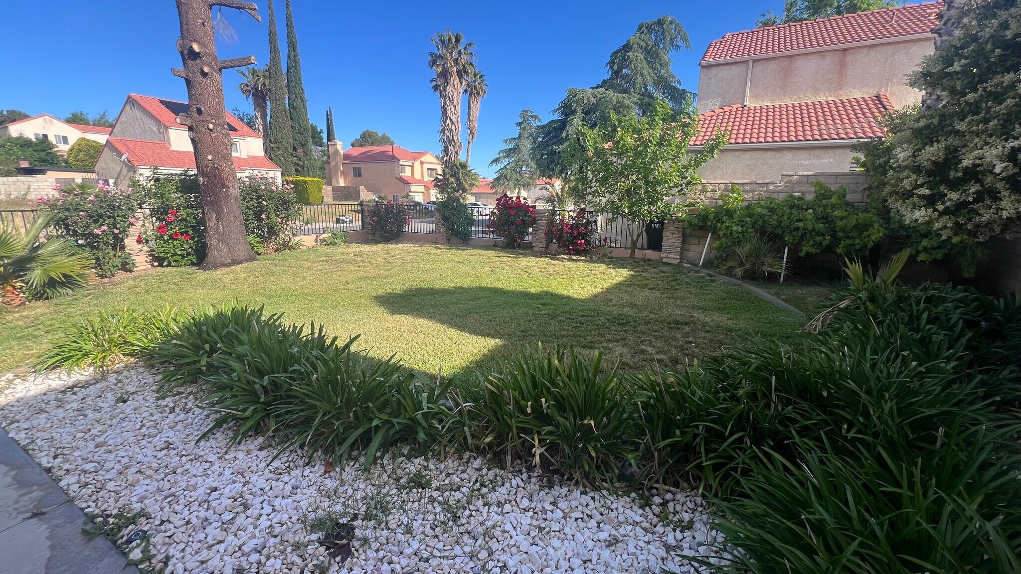 front yeard - 38238 La Loma Ave