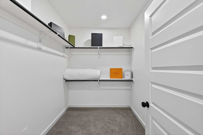 Building Photo - 2914 El Fenice Ln