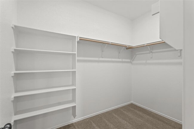Building Photo - 172 Rodney Boat Rd
