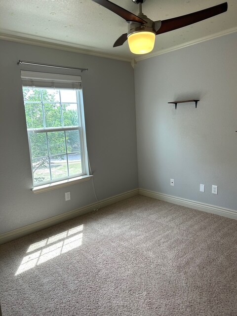 Bedroom 3 - 1702 Sand Hills Dr