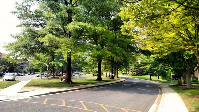 Building Photo - 11305 Commonwealth Dr