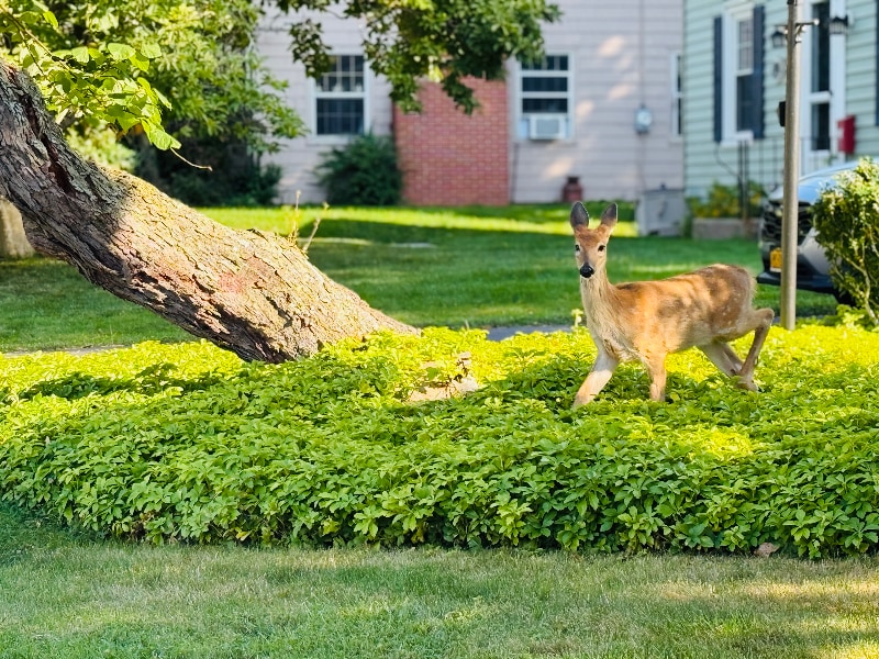 Building Photo - 104 Wabash Ave