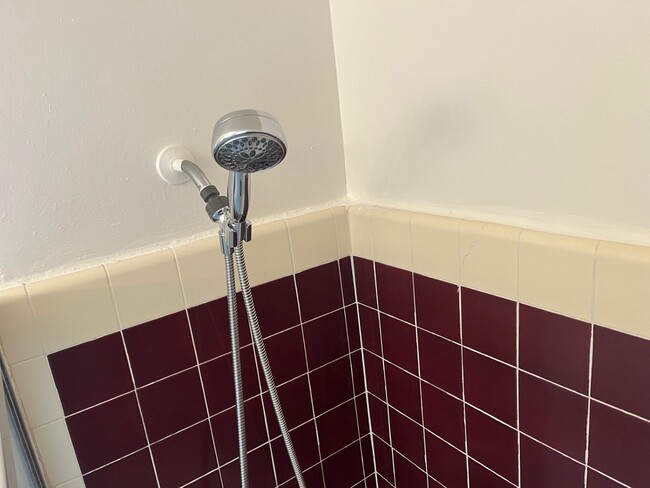 Bath Shower 2 - 3181 S Barrington Ave
