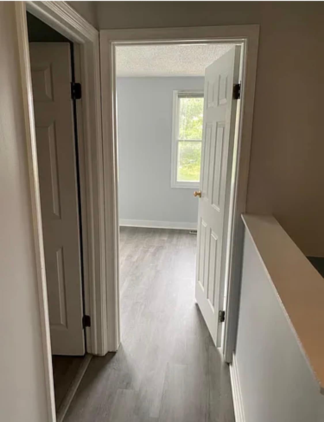 Building Photo - 9732 Springfield Woods Cir