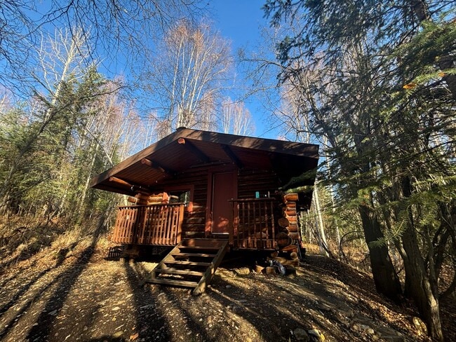 Primary Photo - Dry cabin off Goldstream / Dog friendly