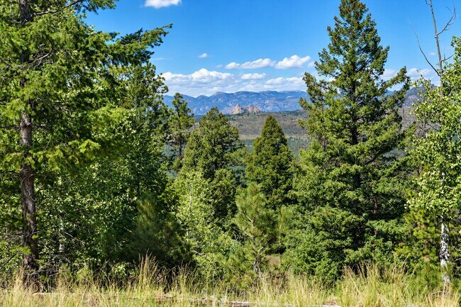 Building Photo - 28 Ponderosa Cir