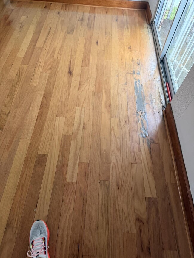 Building Photo - "Charming 1-Bedroom Retreat in Tampa - Cozy 650 Sq. Ft. Home Awaits!"