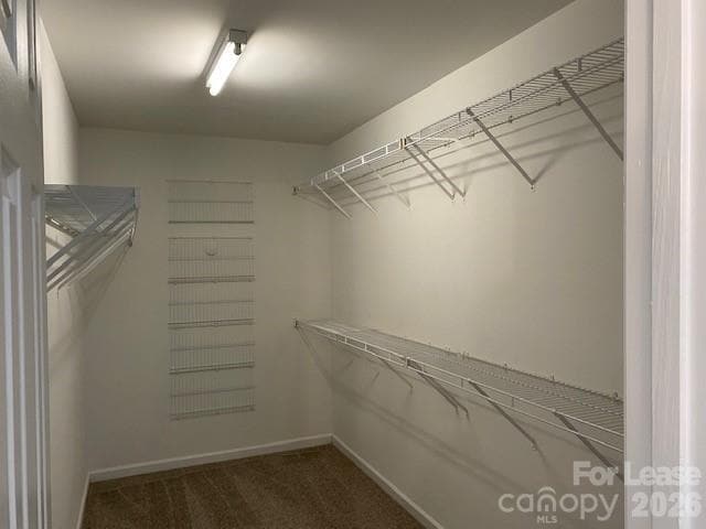 Building Photo - 137 Autry Ave