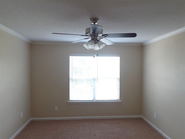 Building Photo - 3226 Silver Spur Ct
