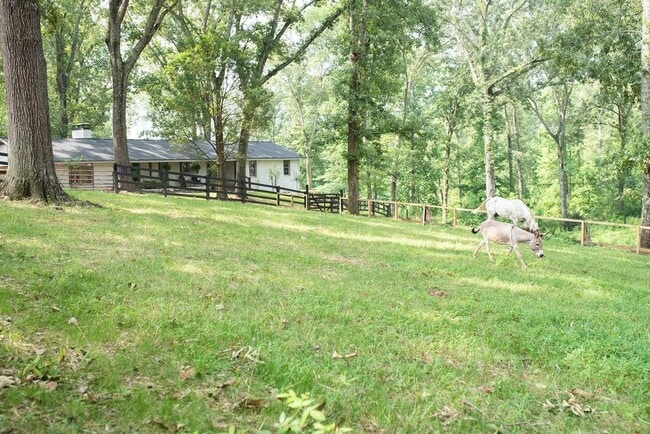 Building Photo - 728 S McCollum Dr