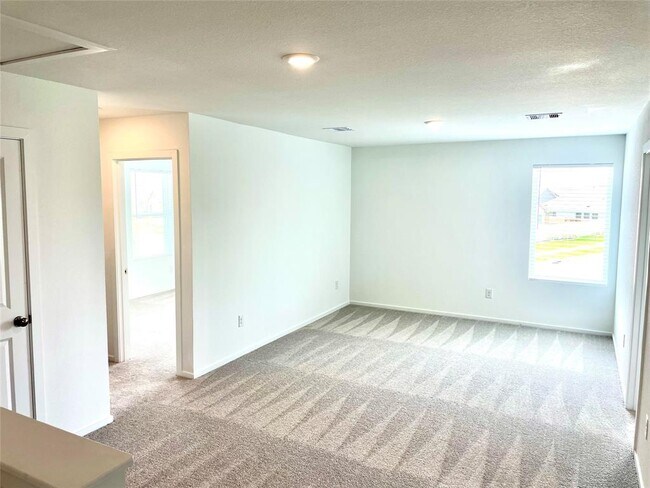 Building Photo - 26930 Zebra Grass Dr