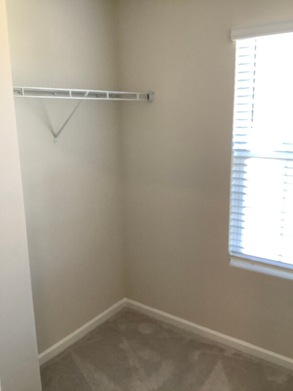 Building Photo - 136 Plumtree Ct