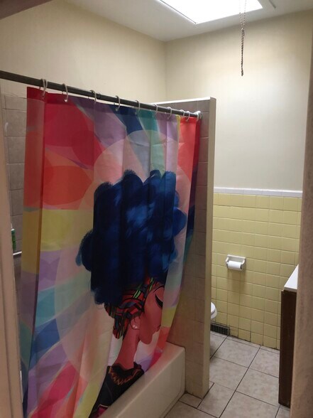 Skylight in bathroom! - 861 E Westmoreland St