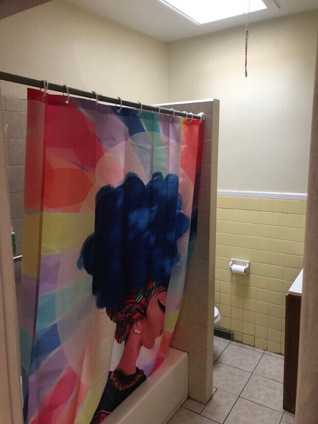 Skylight in bathroom! - 861 E Westmoreland St