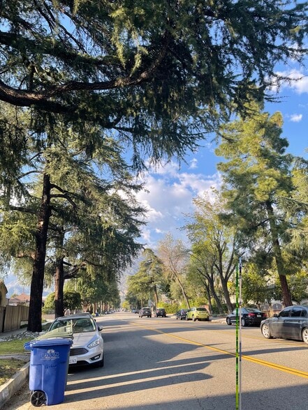 Tree lined street - 1431 1/2 N Allen Ave