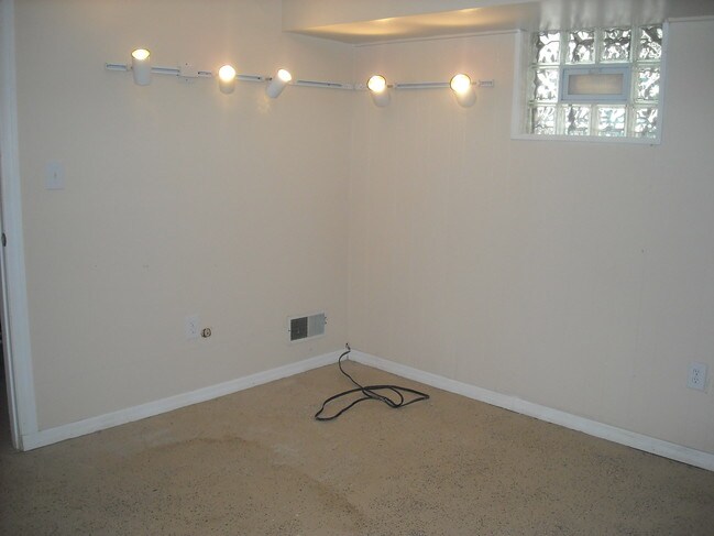 Extra bonus room lower level - 332 Hailman St