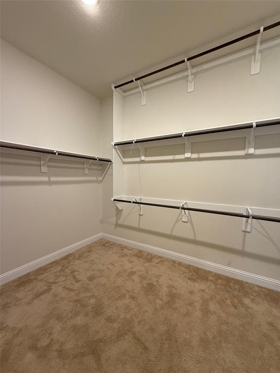 Building Photo - 4003 Palmer Meadow Ct