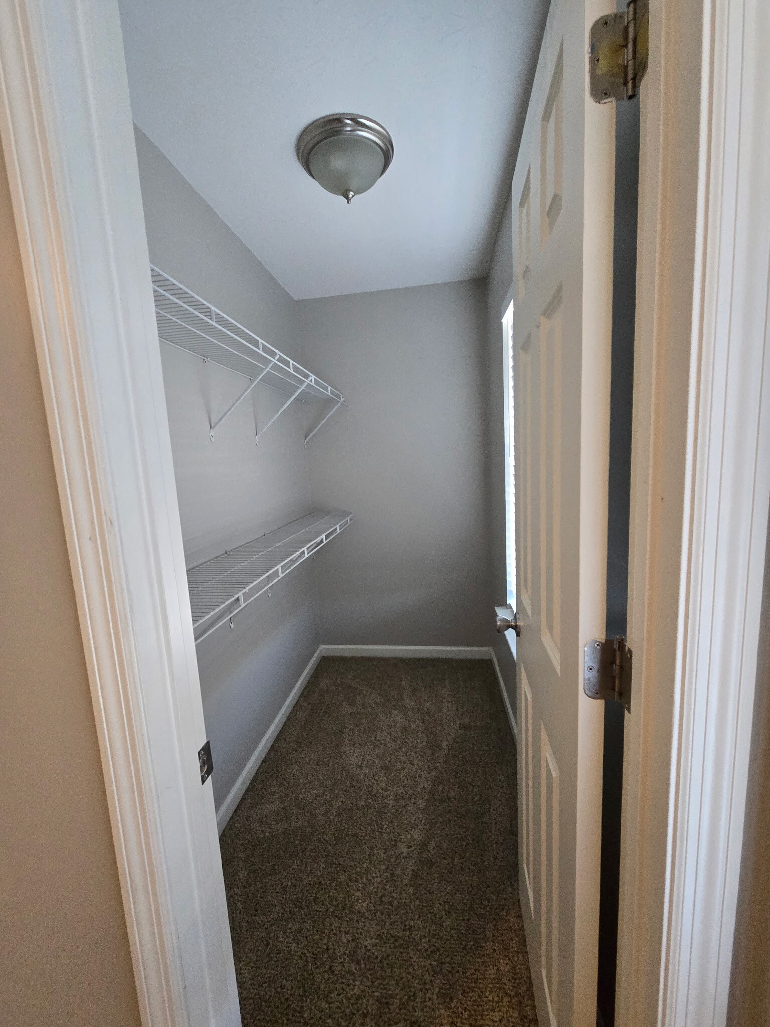 Building Photo - 638 Pippin Dr