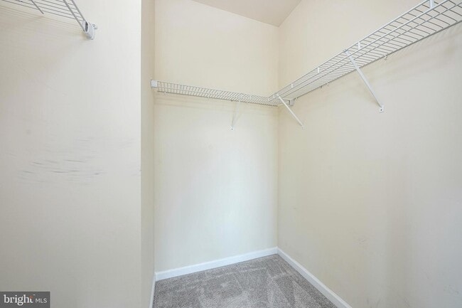 Building Photo - 5335 Palomino Ct
