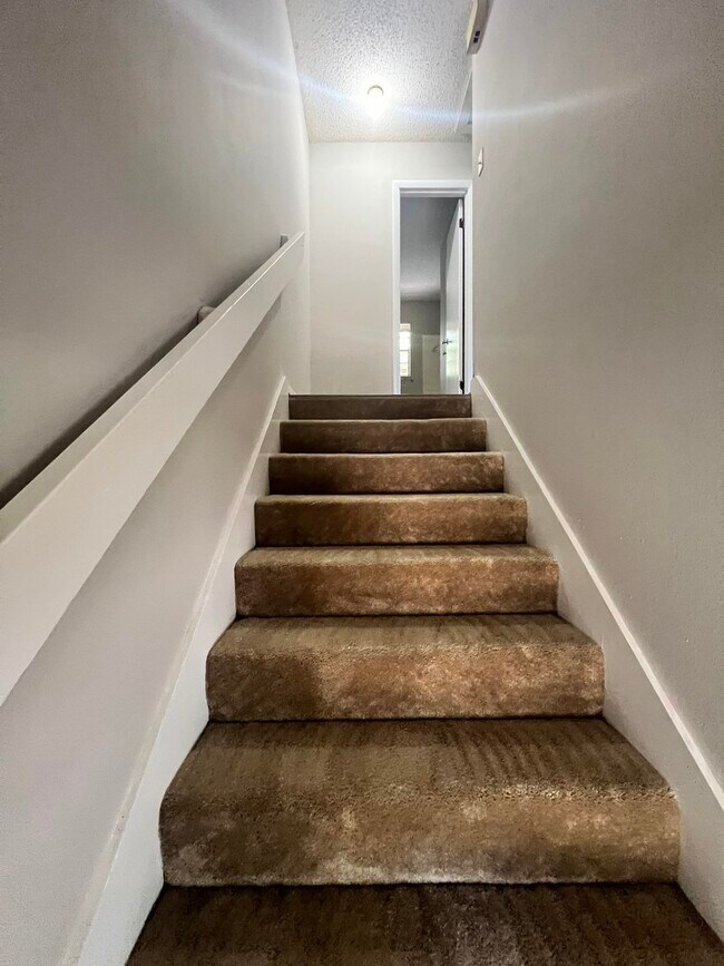 Building Photo - 2406 Ramblewood Ct