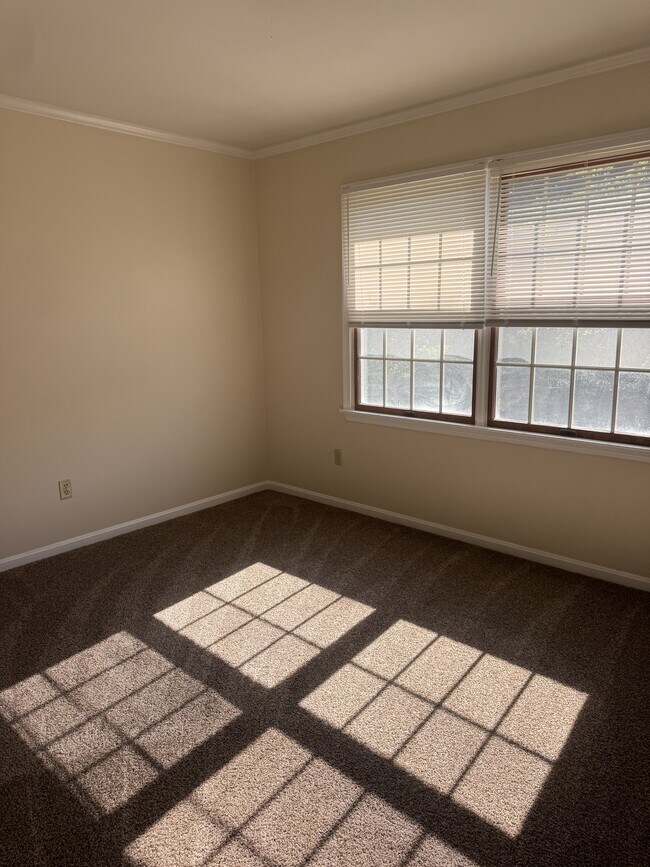 Building Photo - 1017 Baccharis Dr
