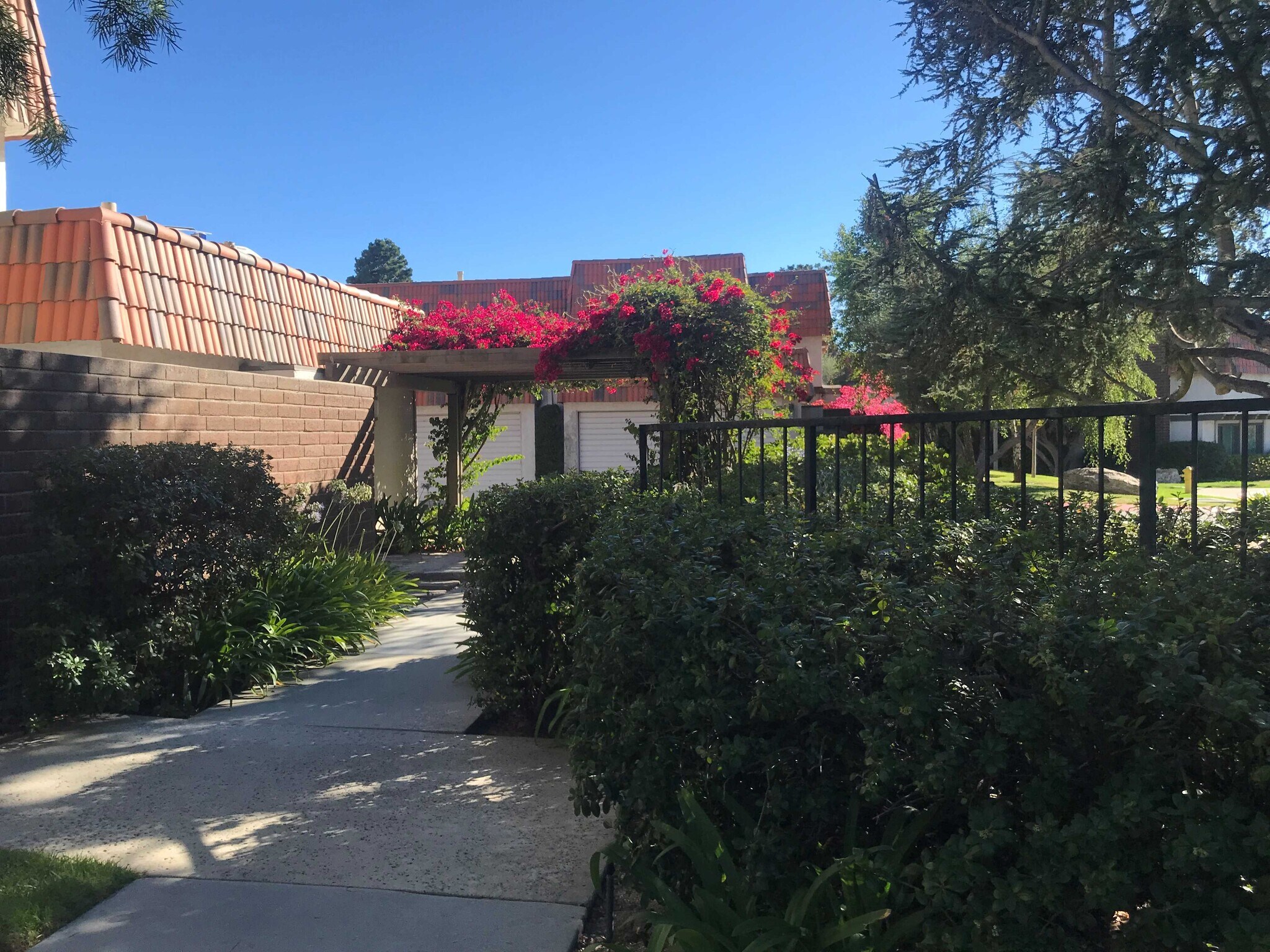 Building Photo - 28035 Ridgebluff Ct
