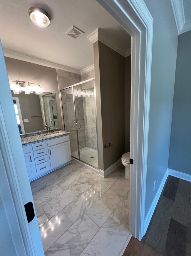 Building Photo - The Village at Mount Victor