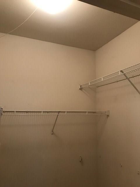 Building Photo - 1655 Ascension Bluff Dr