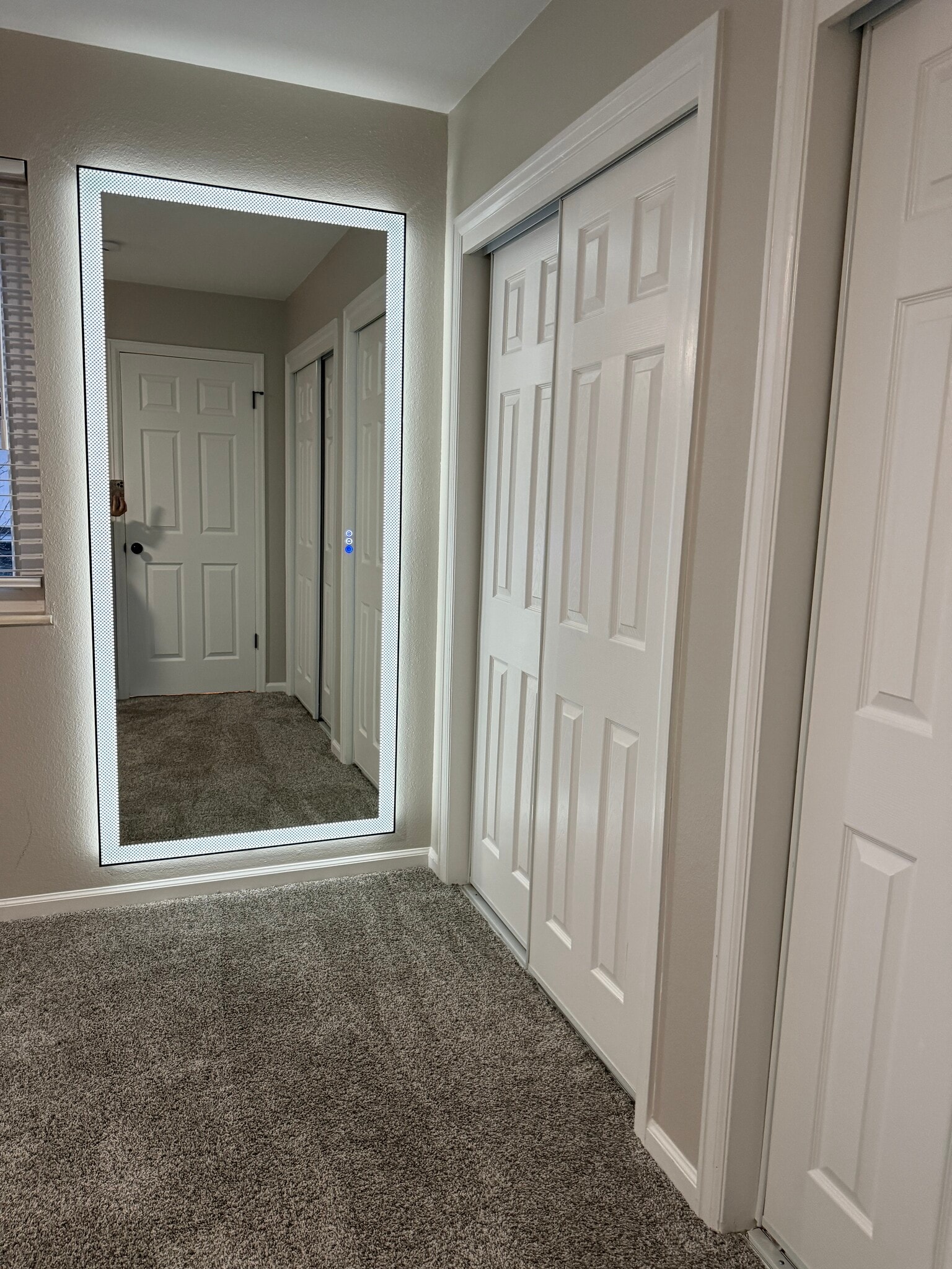 Primary Bedroom Mirror - 5916 Newcombe Ct